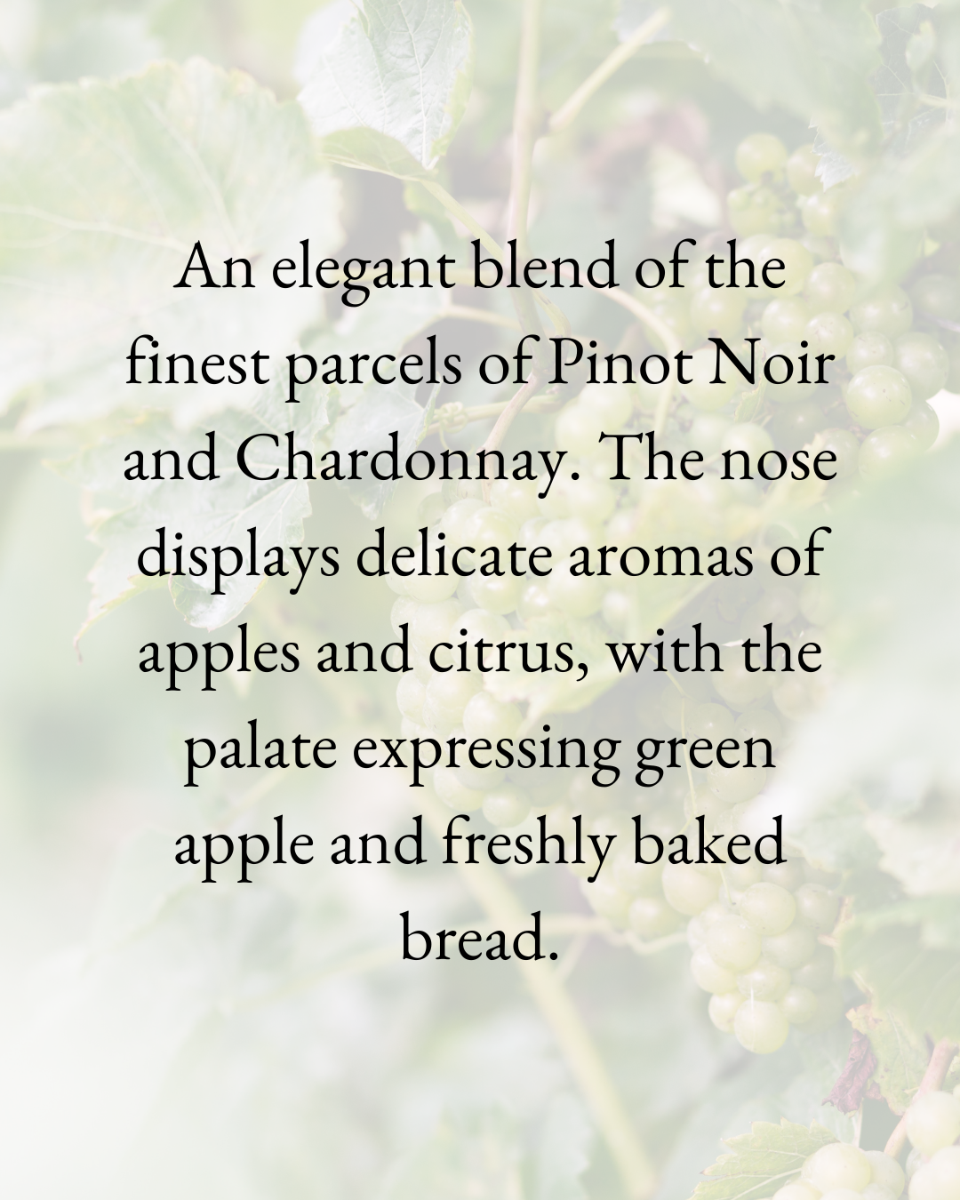 Knightor Brut Classic Cuvée White
