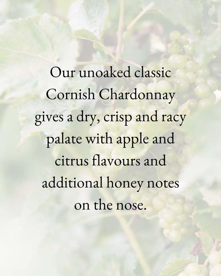 Chardonnay 2022