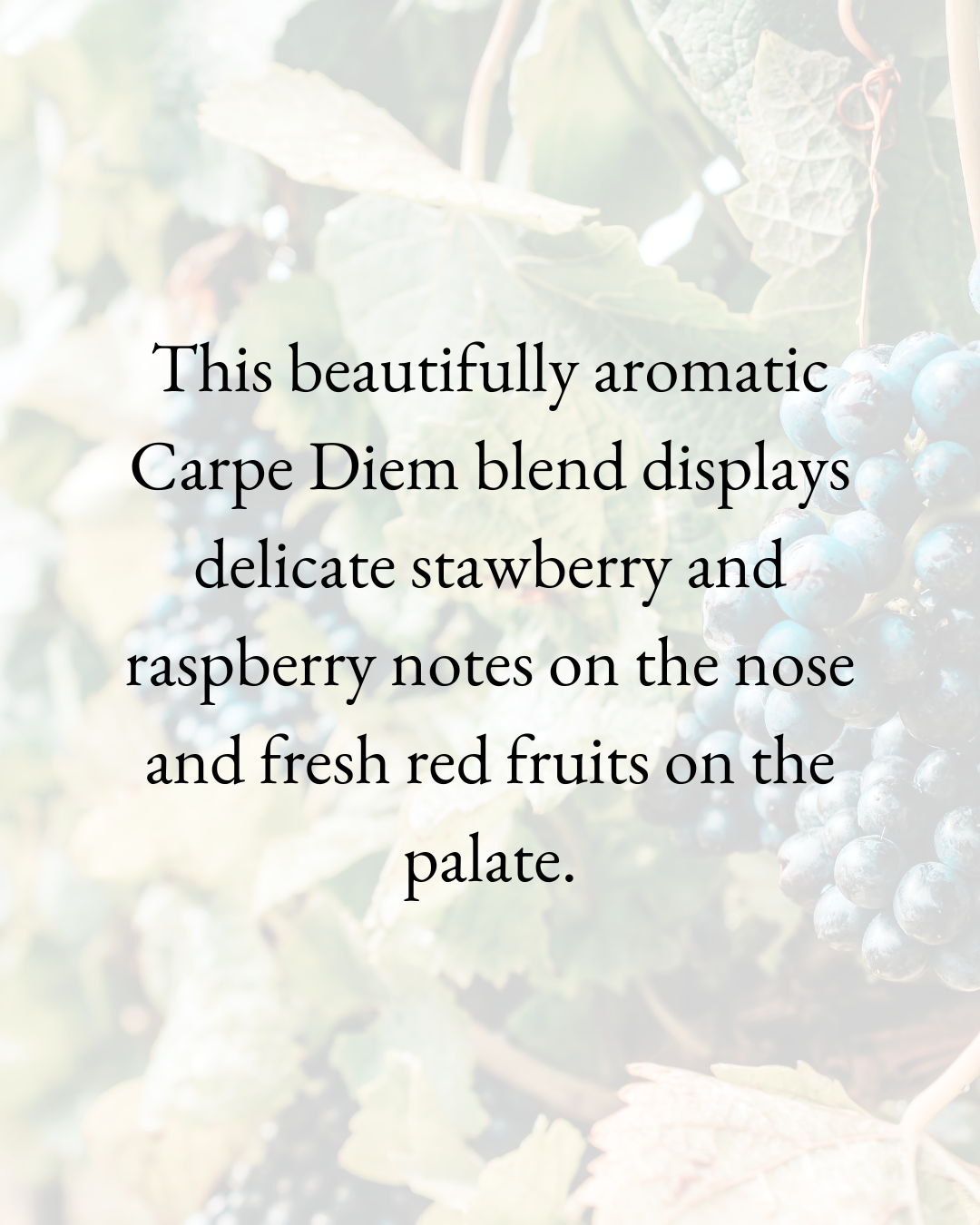 Carpe Diem Rosé