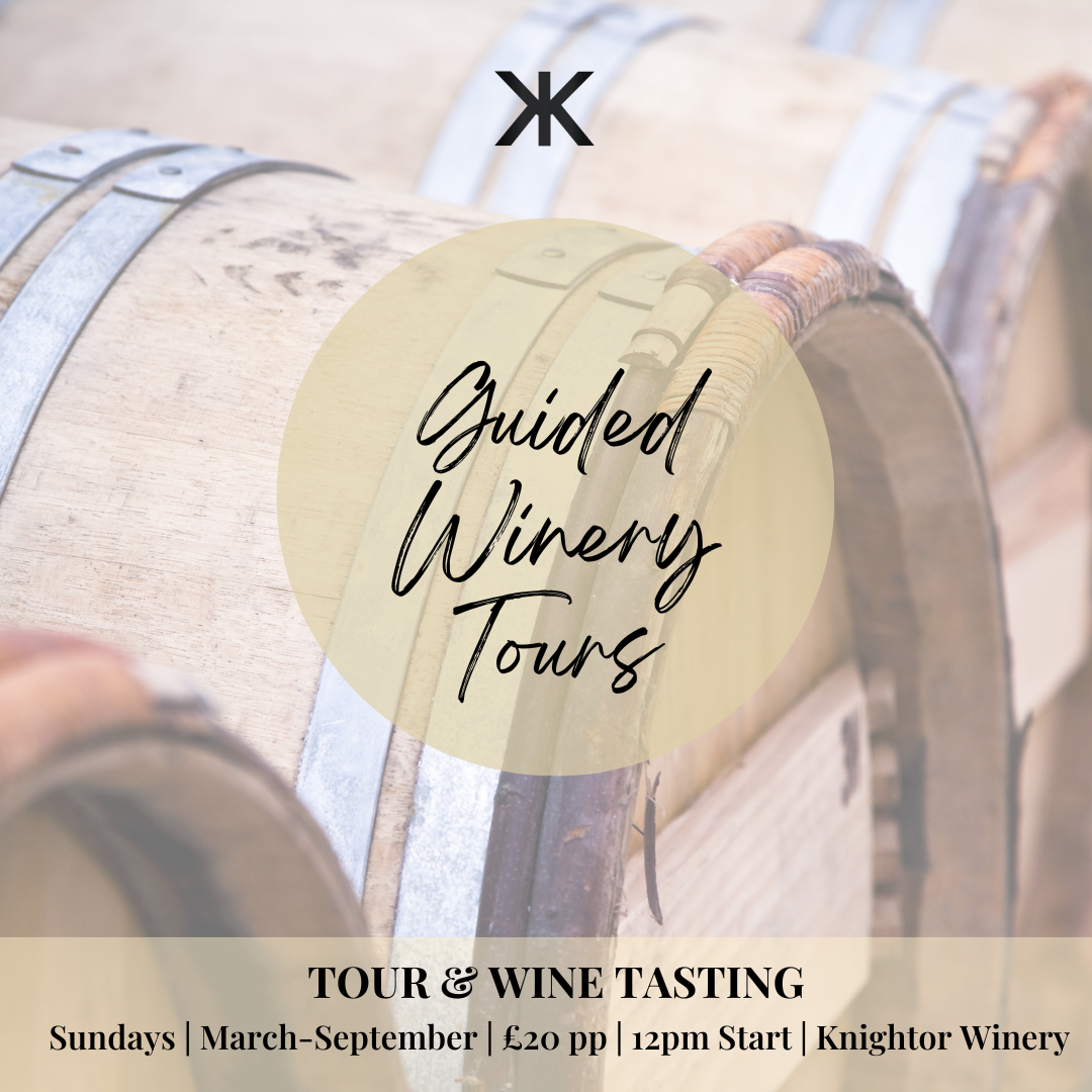 Guided Winery Tours 2024